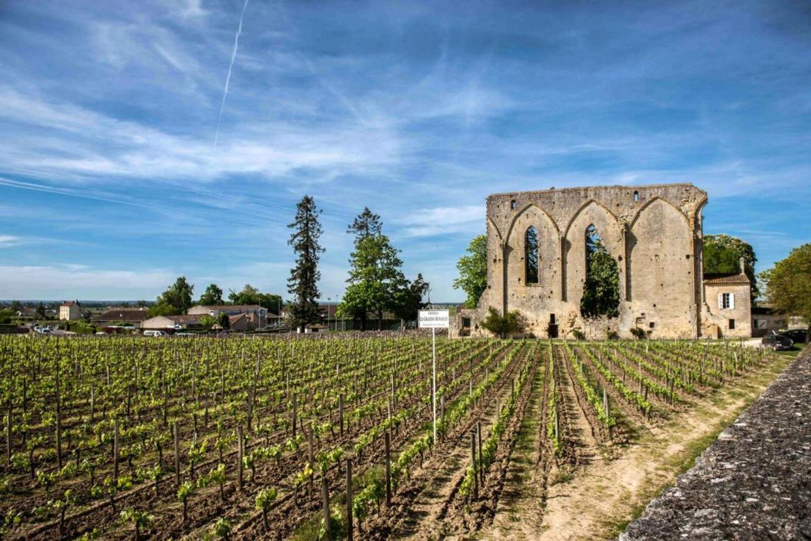 Maison Cosy Avec Vue Sur Les Vignes. Libourne Zewnętrze zdjęcie