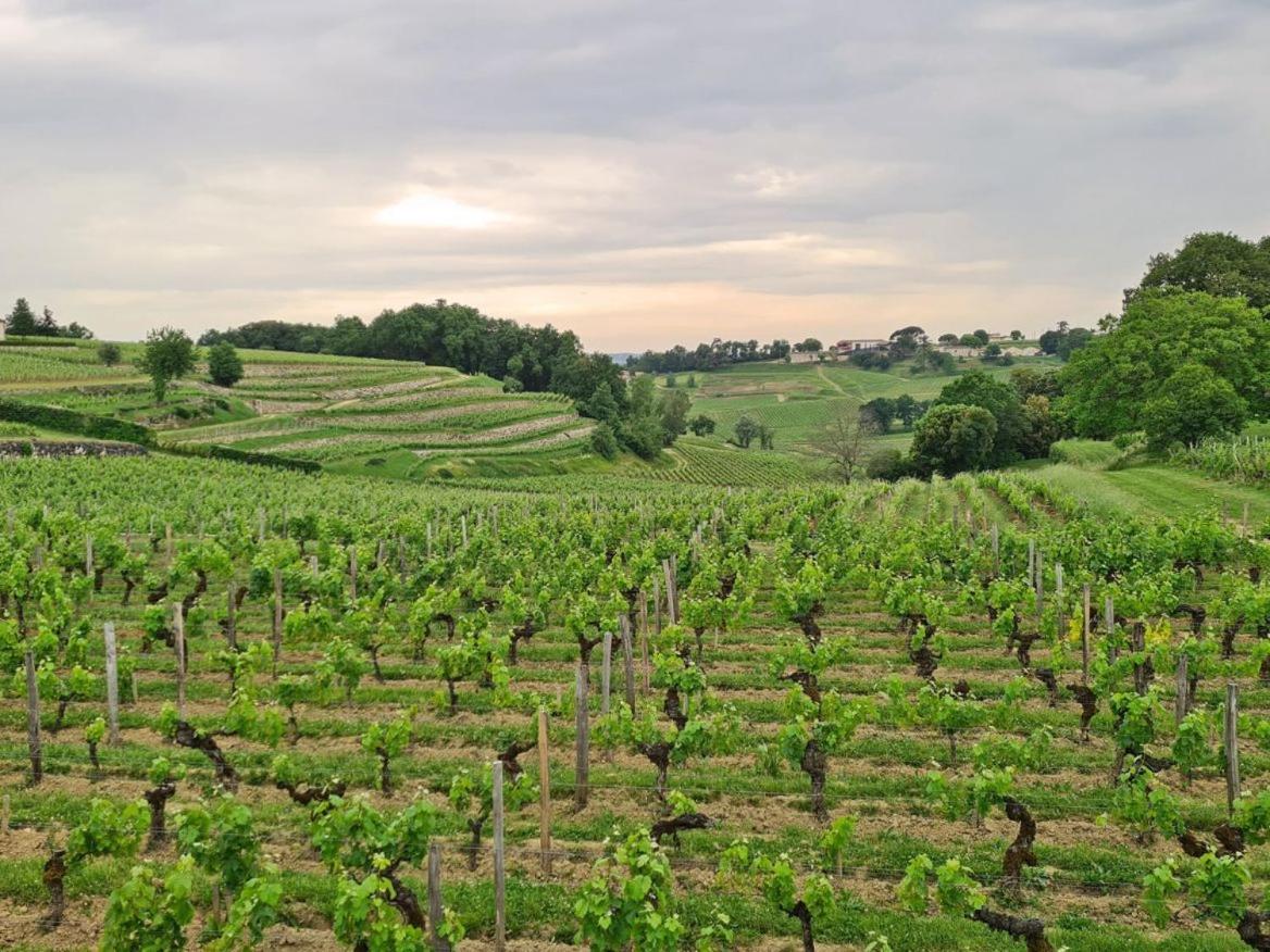 Maison Cosy Avec Vue Sur Les Vignes. Libourne Zewnętrze zdjęcie