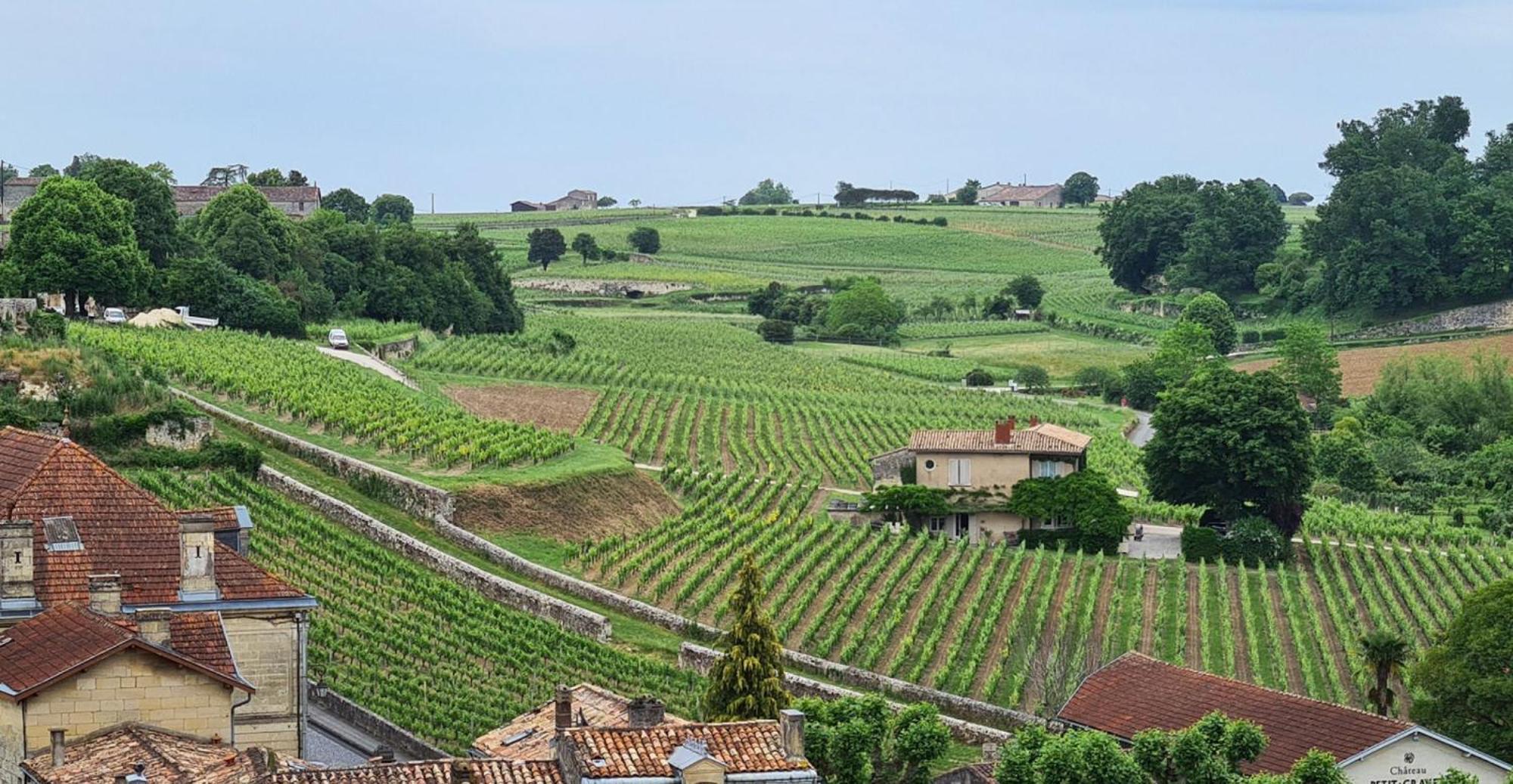 Maison Cosy Avec Vue Sur Les Vignes. Libourne Zewnętrze zdjęcie