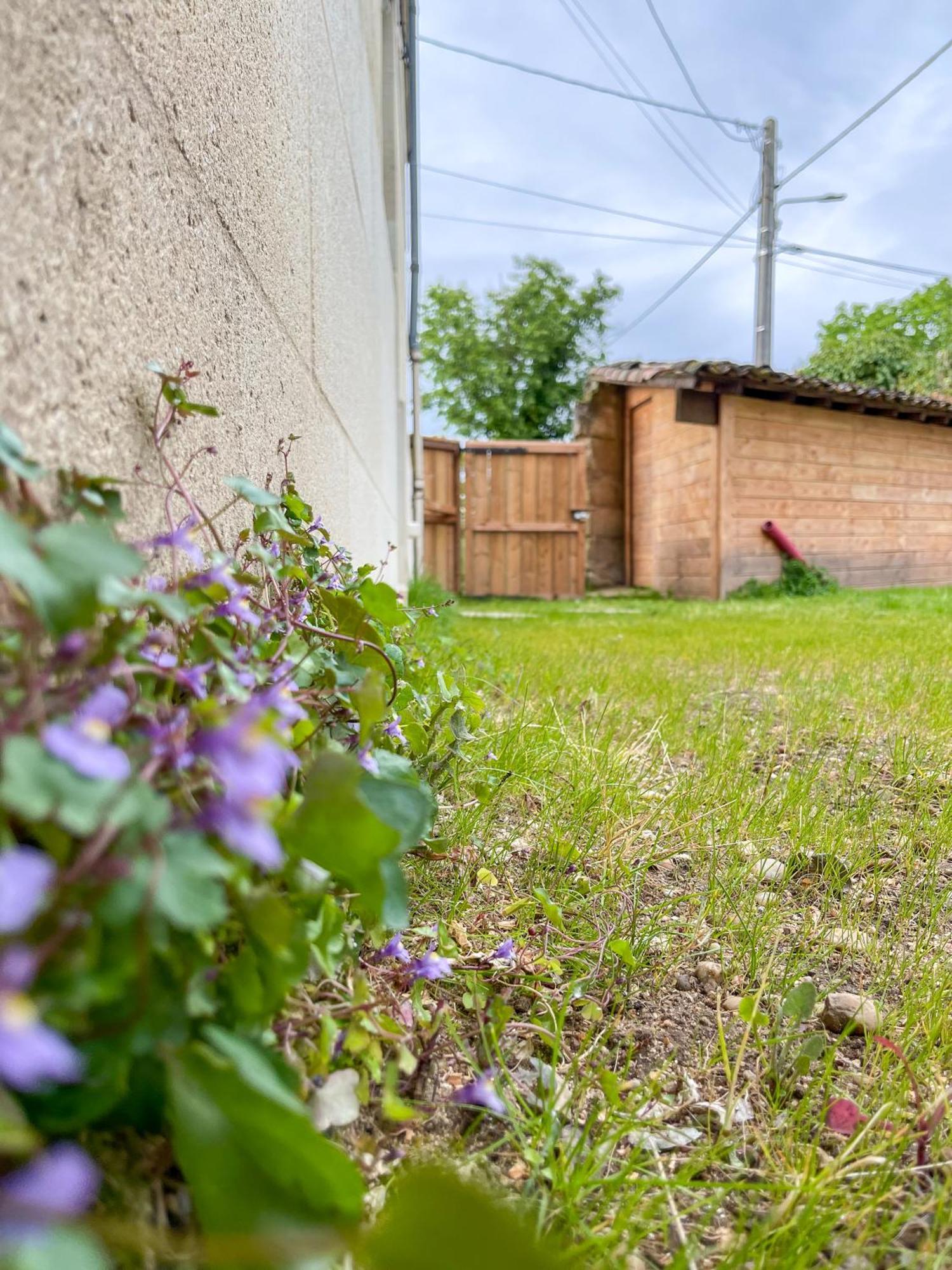 Maison Cosy Avec Vue Sur Les Vignes. Libourne Zewnętrze zdjęcie