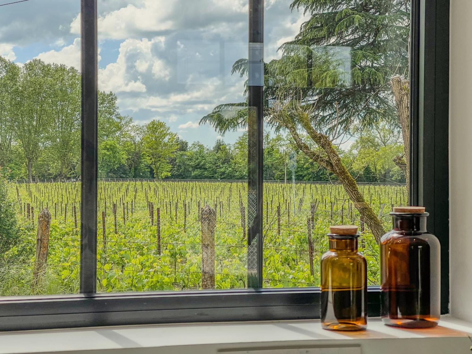 Maison Cosy Avec Vue Sur Les Vignes. Libourne Zewnętrze zdjęcie